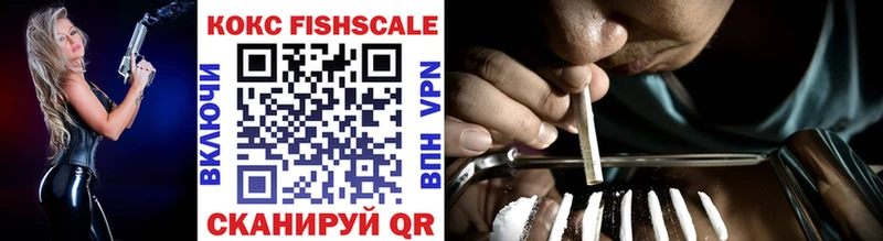 COCAIN VHQ  ОМГ ОМГ маркетплейс  Камышлов  где купить наркоту 