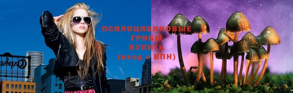 гашик Алексин
