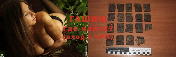 гашик Алексин