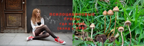 каннабис Абинск