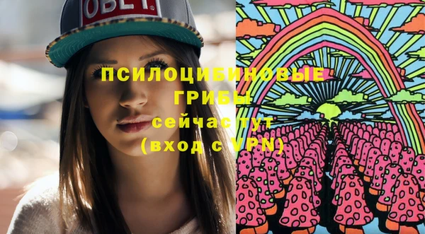 гашик Алексин