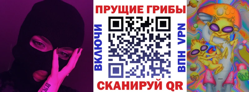 Псилоцибиновые грибы мицелий blacksprut ССЫЛКА Камышлов